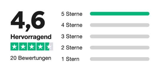 20 positive Trustpilot-Bewertungen mit 5 Sternen – Kundenzufriedenheit im Webdesign